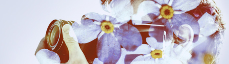 cameraflower.jpg