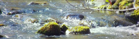 river.jpg